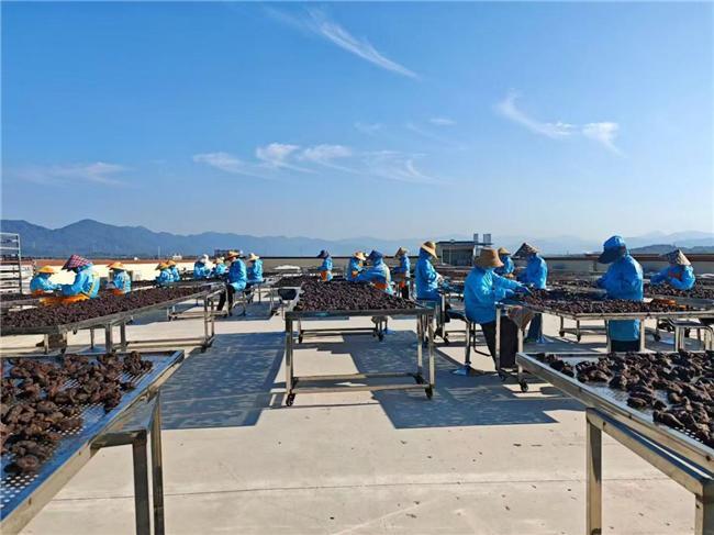 黄精品牌榜逆袭名单！黄精适合哪些人群？期待带来的健康奇迹！(图3)